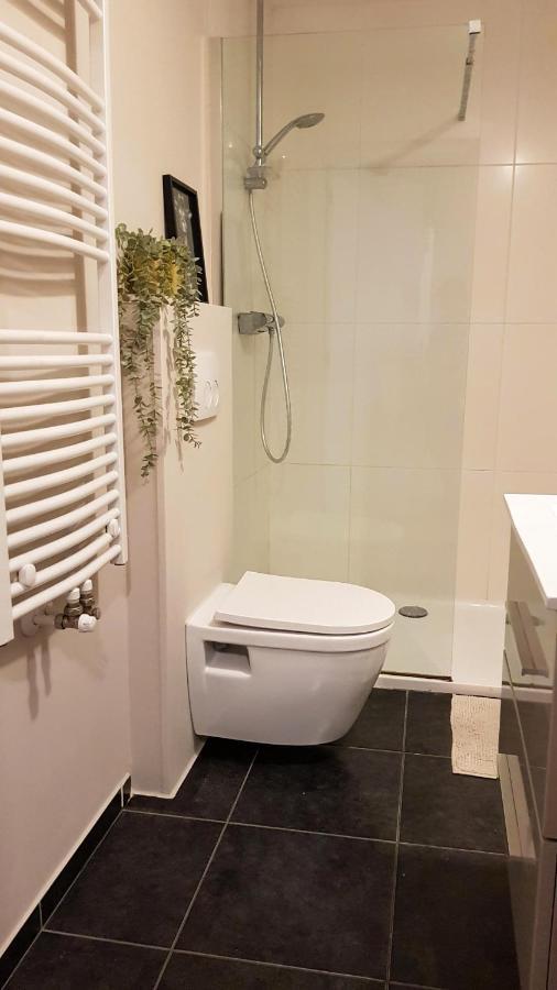 Bnb Antwerpen - Charmant ภายนอก รูปภาพ